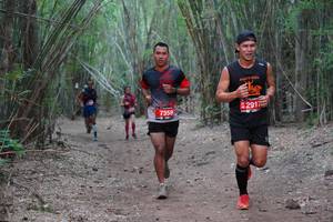 BIB: 2917, 7359
                            <button type="button" onclick="openModal(4121050)" class="btn btn-primary btn-sm float-right btn-popup" data-toggle="modal" data-target=".modal-high-quality">
                        <i class="fas fa-shopping-cart"></i> Add to Cart
                    </button>
                                            <button type="button" onclick="isThisMe(4121050, true)" class="btn btn-success btn-sm float-right btn-popup btn-isme hidden" data-toggle="tooltip" data-placement="bottom" title="นี่คือรูปของคุณใช่ไหม คลิกที่นี่เพื่อเอาเข้าอัลบั้ม">
                        <i class="fas fa-plus"></i> Add to album
                    </button>
                    <button type="button" onclick="isThisMe(4121050, false)" class="btn btn-warning btn-sm float-right btn-popup btn-isnotme hidden">
                        <i class="fas fa-ban"></i> Remove from album
                    </button>